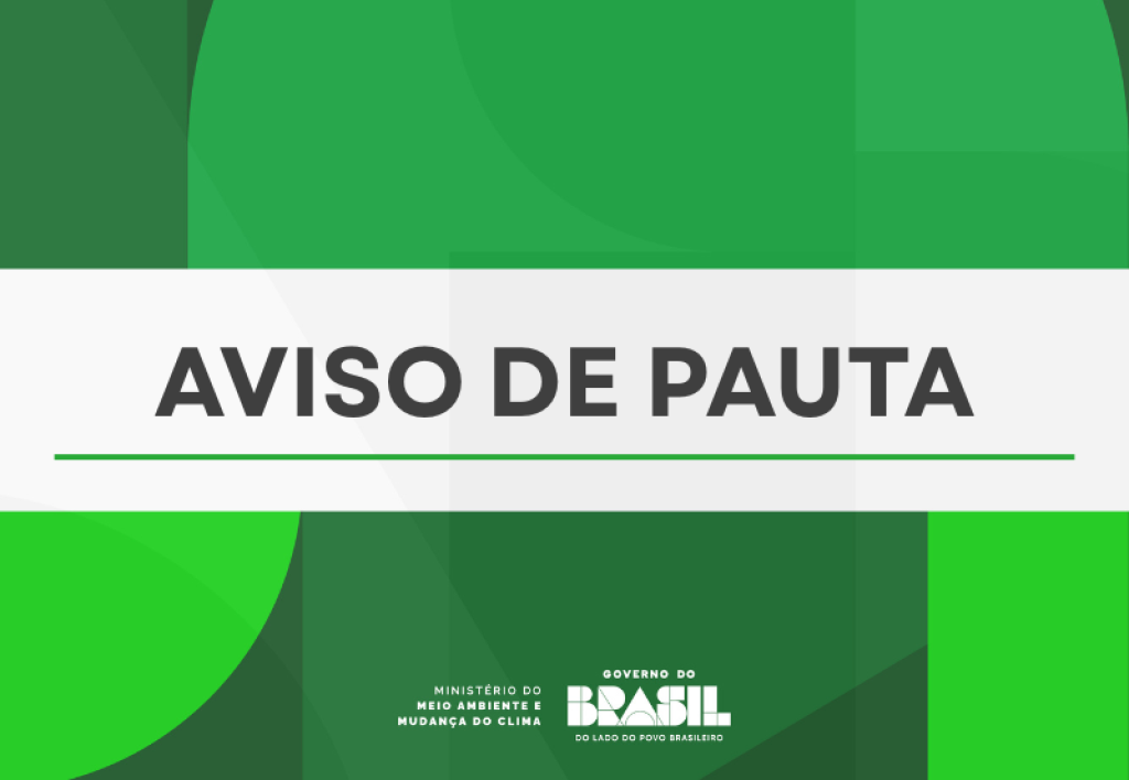 Em audiência pública, ministros do Meio Ambiente e Mudança do Clima e dos Transportes detalham medidas para a BR-319
