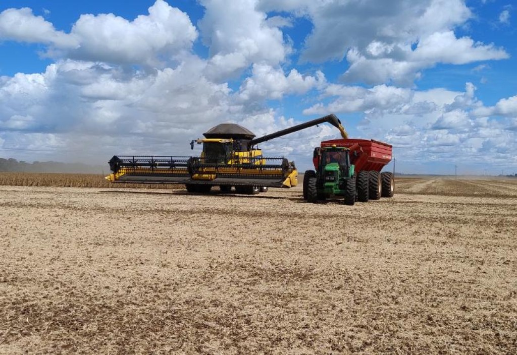 Seguro rural premia manejo do solo e corta 50% do custo do seguro