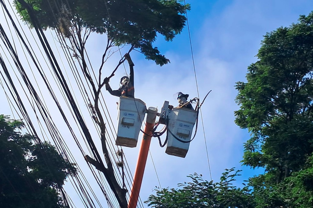 Copel realiza mutirão de poda preventiva em Cornélio Procópio e Rolândia neste domingo 